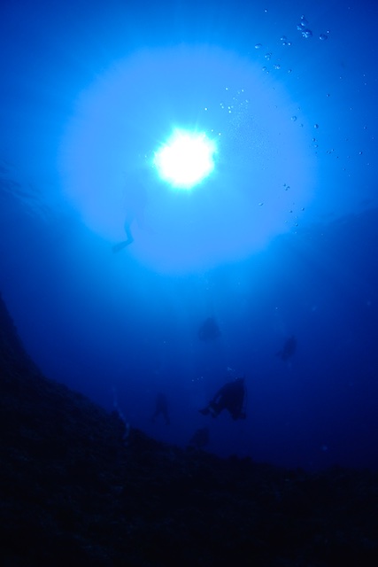 b0062363_17473447.jpg