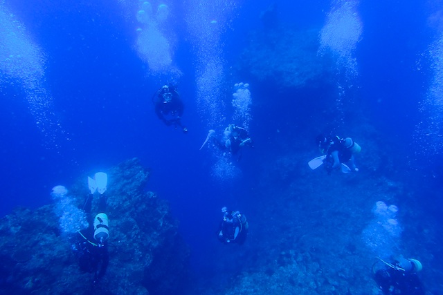 b0062363_17475727.jpg