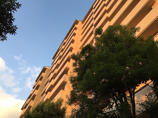 e0078069_07051537.jpg