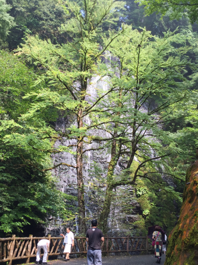 e0107171_00023211.jpg