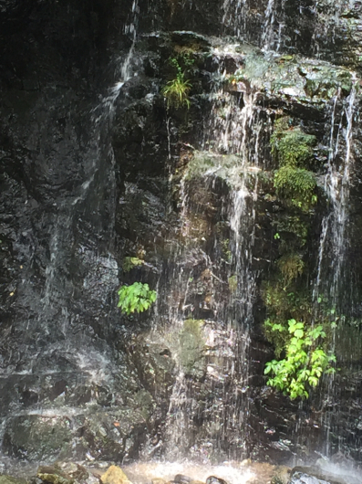 e0107171_00023322.jpg