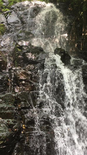 e0107171_00023562.jpg