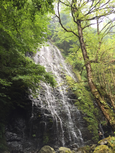 e0107171_00023654.jpg