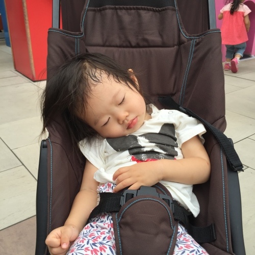 d0041575_20202151.jpeg