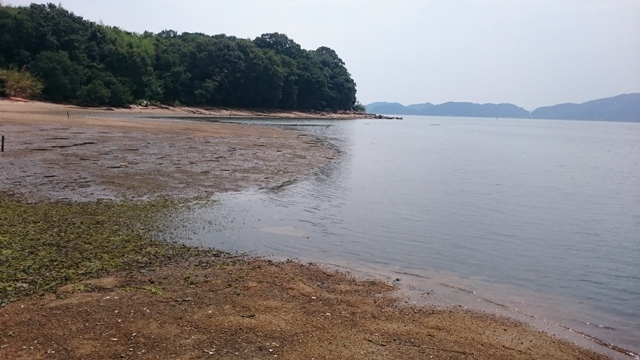 a0036693_21404132.jpg
