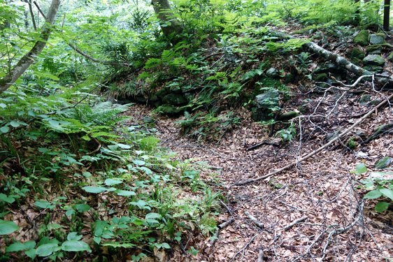 f0155495_12574640.jpg
