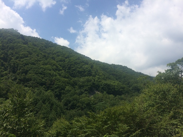 d0149306_10151141.jpg