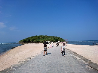 d0091909_1336324.jpg