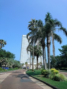 d0091909_1340752.jpg