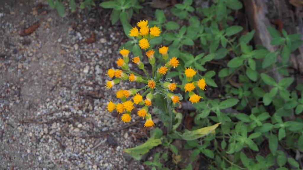 b0021211_1041279.jpg