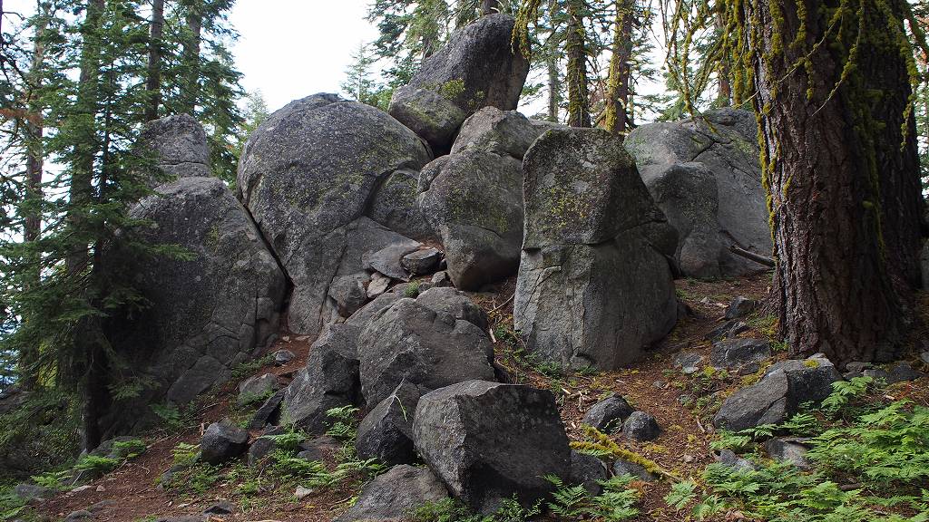 b0021211_10414859.jpg