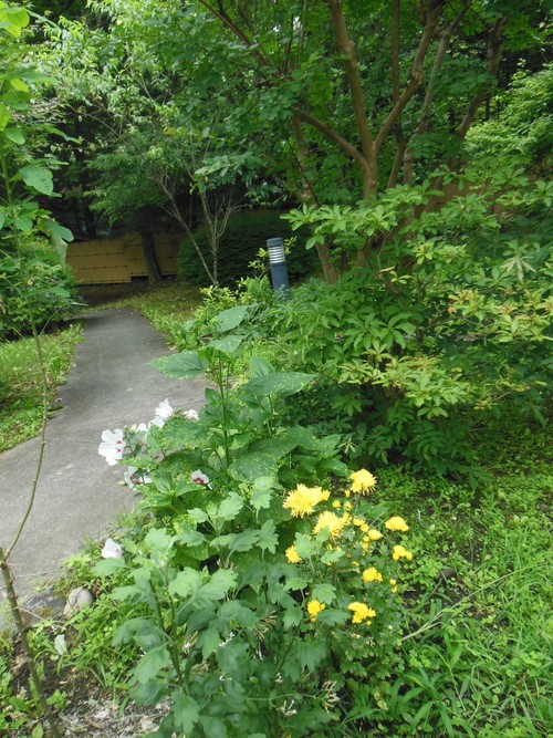 f0208812_13443816.jpg