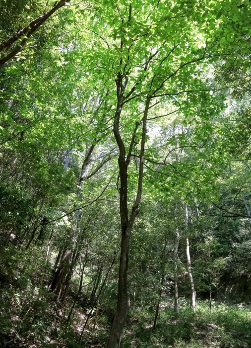f0363618_2244838.jpg