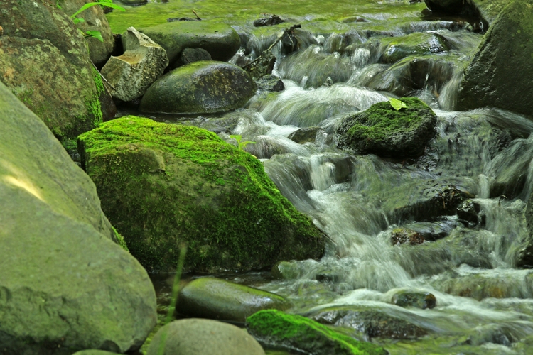 c0104227_1347879.jpg
