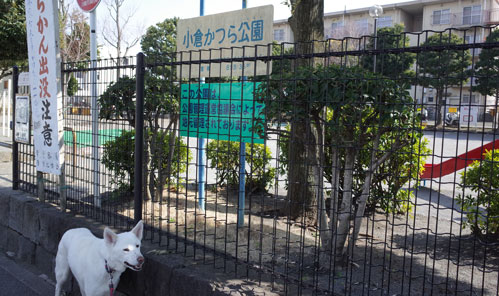 a0117039_1844461.jpg
