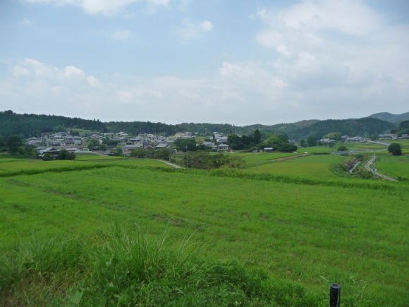f0149240_17132571.jpg