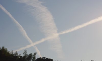 a0142343_14333534.jpg
