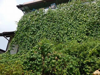 c0203348_17341720.jpg