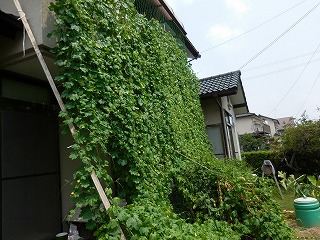c0203348_17361756.jpg