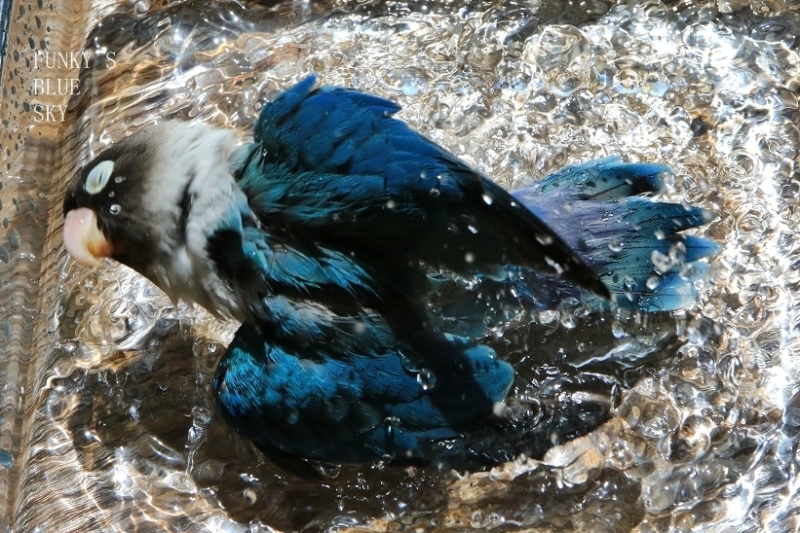 c0145250_09591804.jpg