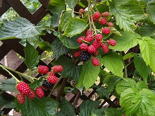 e0004756_2110928.jpg