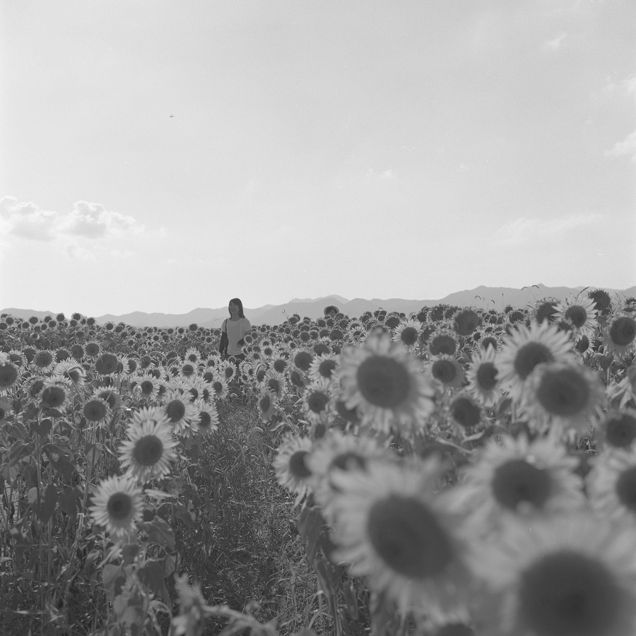 e0264158_15374371.jpg