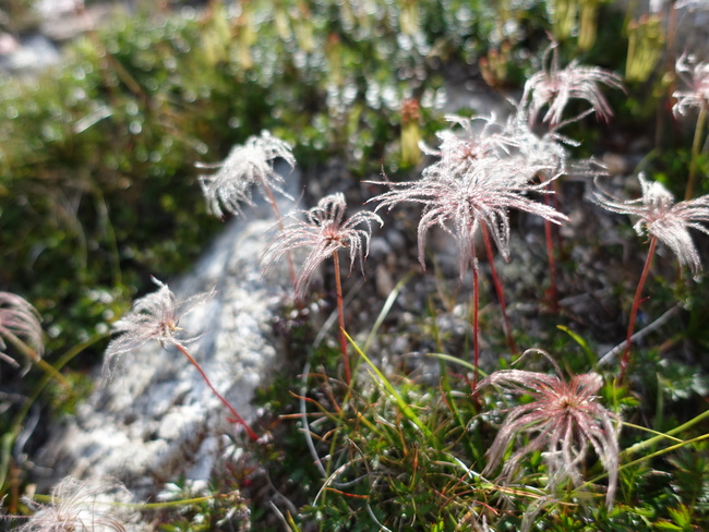 e0187064_17105827.jpg