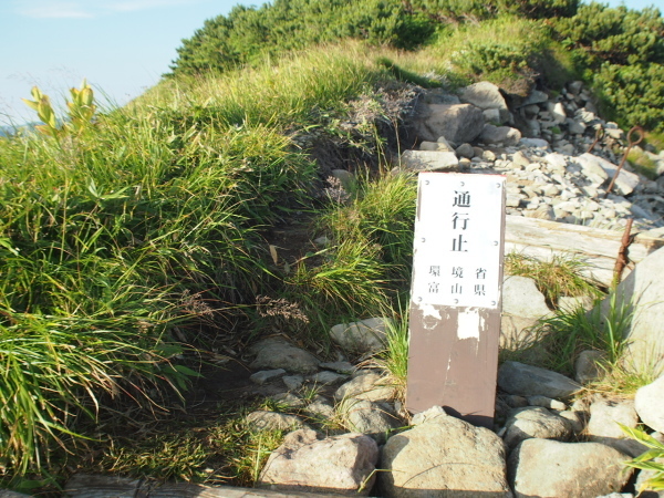 c0321967_21250141.jpeg