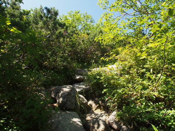 c0321967_22013254.jpeg