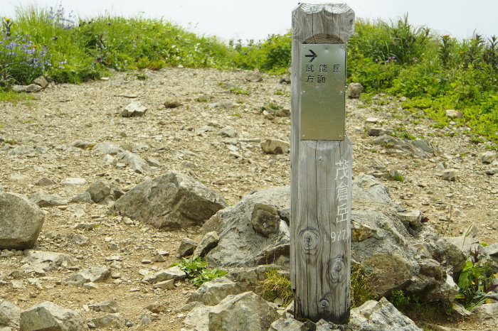 e0307372_15174817.jpg