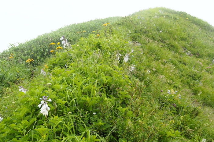 e0307372_15540604.jpg