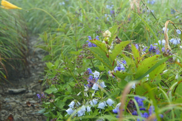 e0307372_17261461.jpg