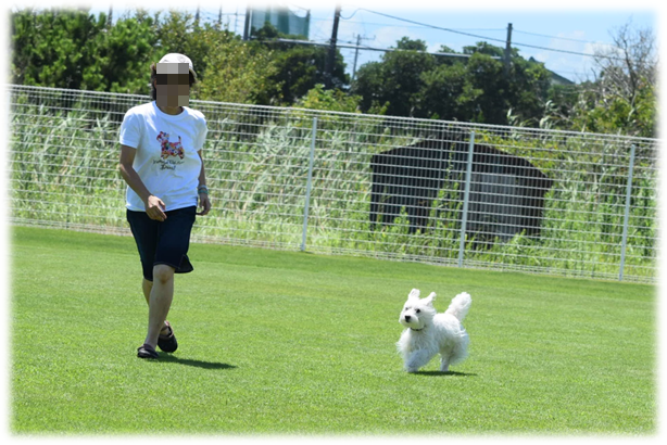 b0242873_00150733.png