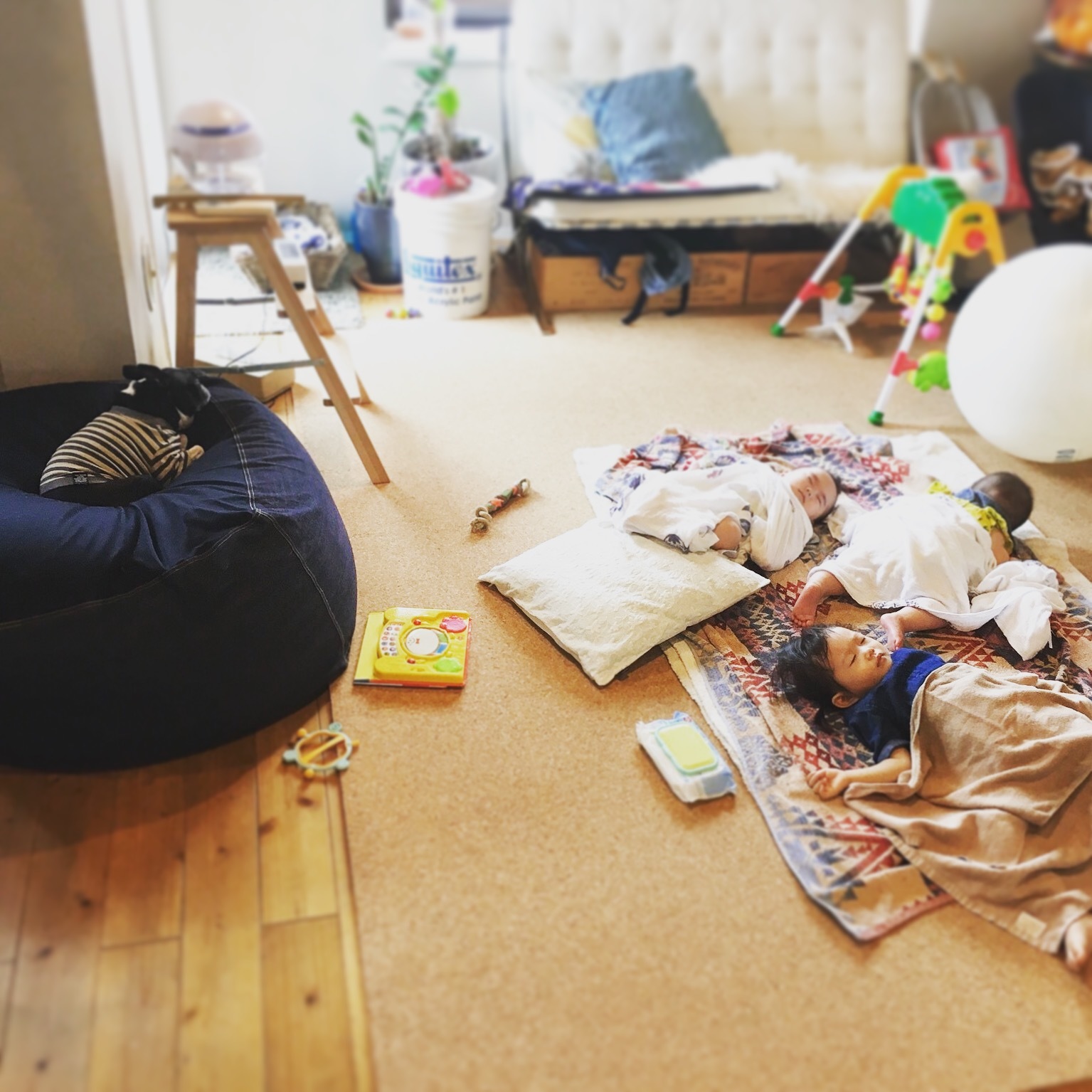 d0041575_22260268.jpeg