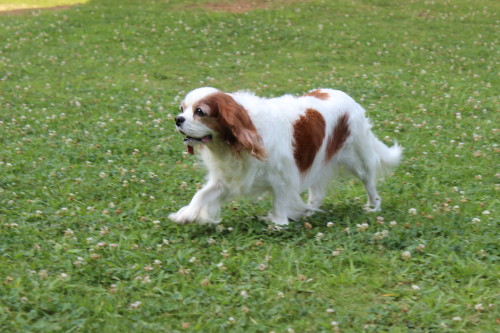 e0114977_10335848.jpg