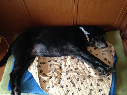f0315081_21021011.jpeg