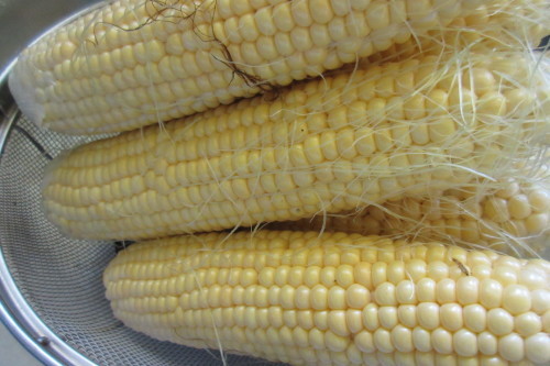 c0204385_19035200.jpg