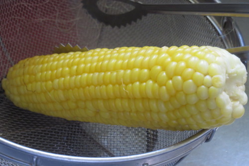 c0204385_19060192.jpg