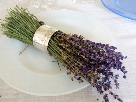 f0121591_08082010.jpg