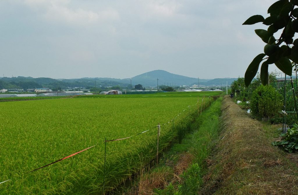 b0212396_22554169.jpg