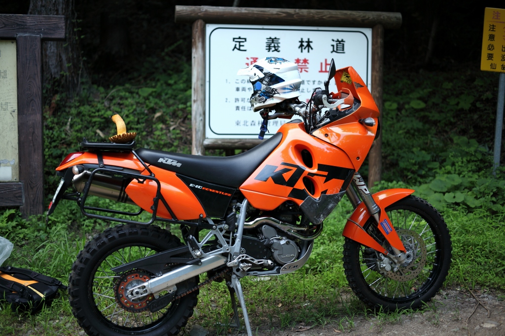 b0050305_1114720.jpg