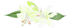 c0051105_1291435.png