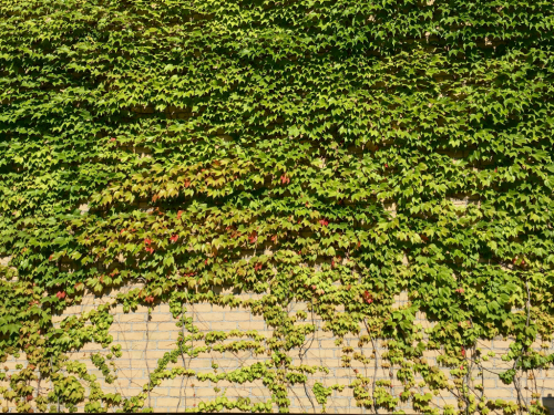 e0177509_00000252.jpg