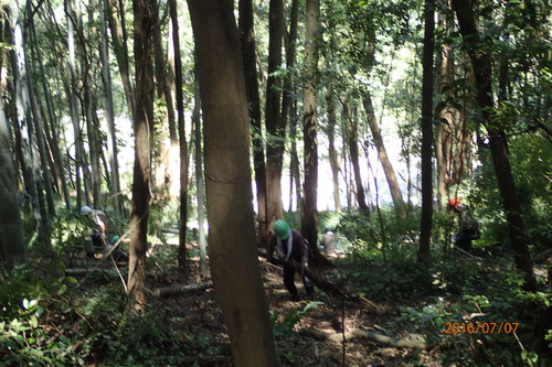 e0138321_0312286.jpg