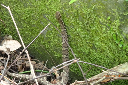 e0138321_0443388.jpg