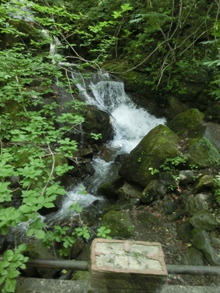 a0105023_15243797.jpg