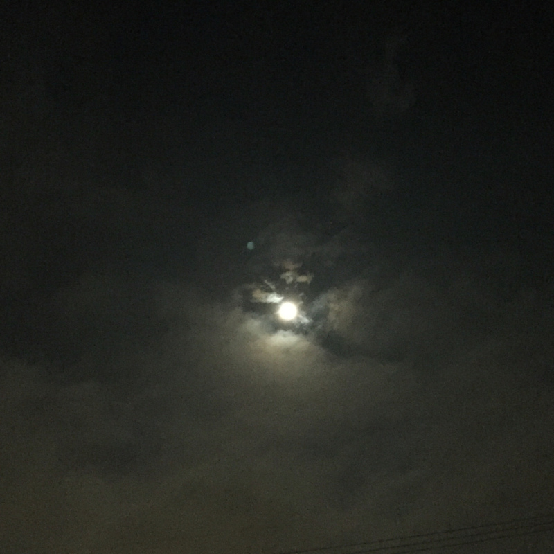 c0003723_18015108.jpg