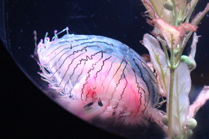 f0354923_01100439.jpg