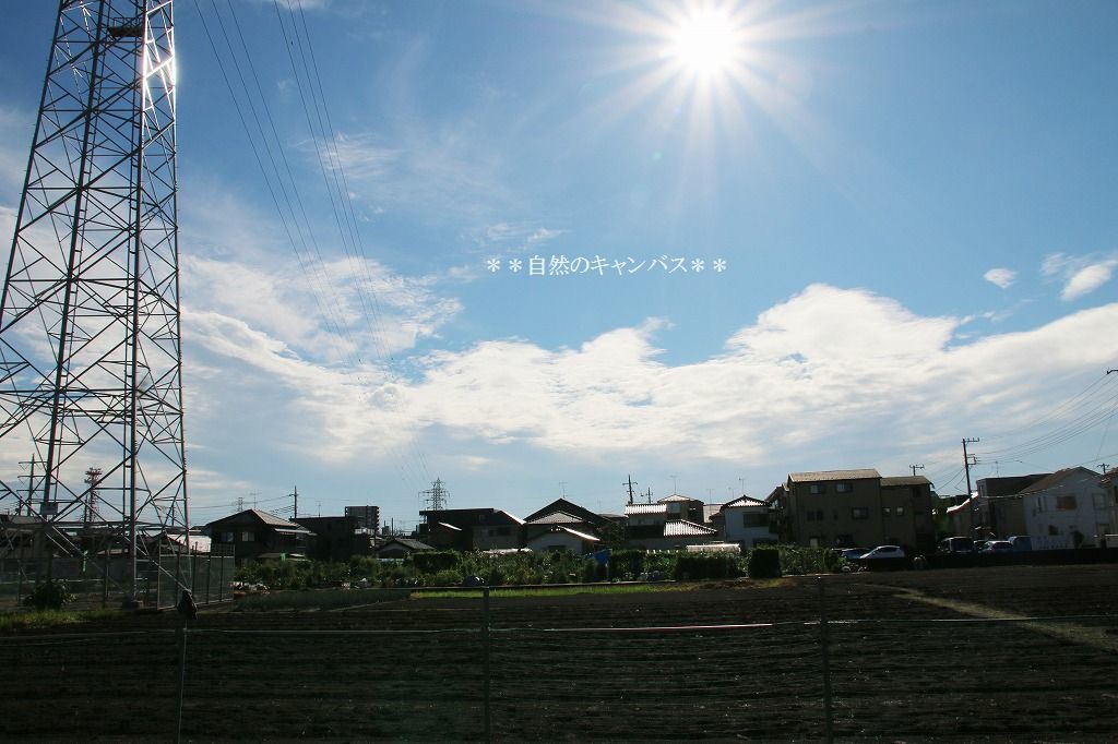 e0052135_15564812.jpg