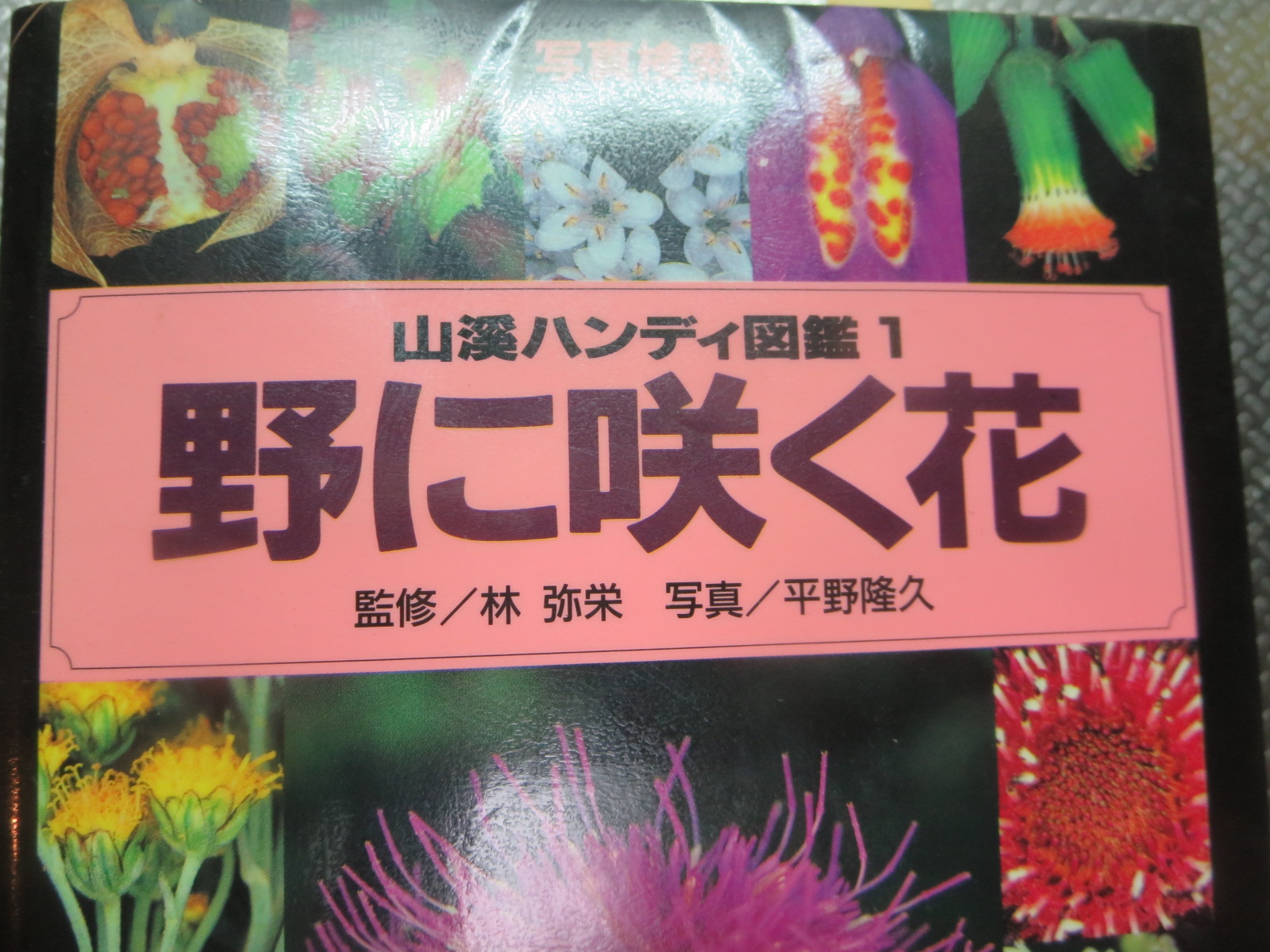 a0204337_20495458.jpg
